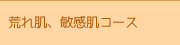 荒れ肌、敏感肌コース