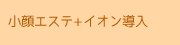 小顔エステとイオン導入